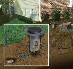 Ground Termite Baiting System
