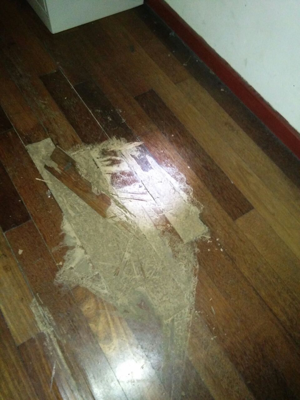 lantai kayu di dewan yang menempatkan gelanggang badminton telah rosak sepenuhnya di makan anai-anai